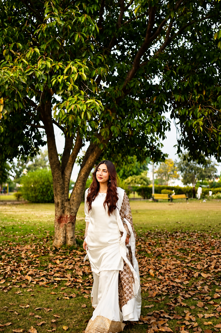 Best Selling - Haya 3 PC Dress (Eid Special)